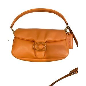 Orange Coach Pillow Tabby 26